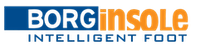 BORGinsole